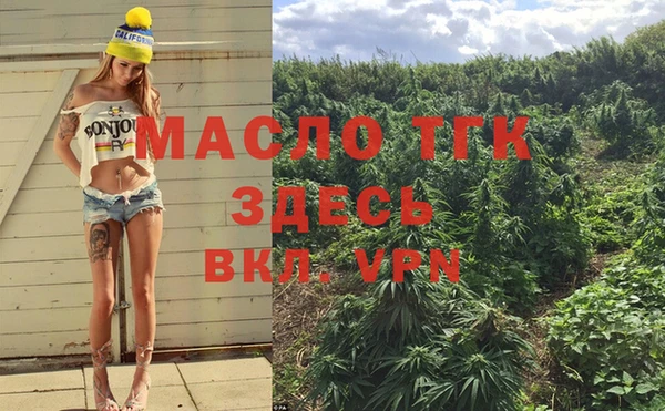 тгк Алзамай