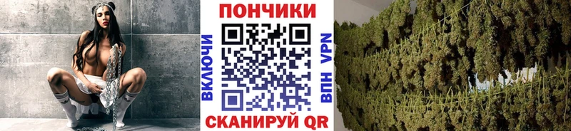 Каннабис Amnesia как найти наркотики Архангельск
